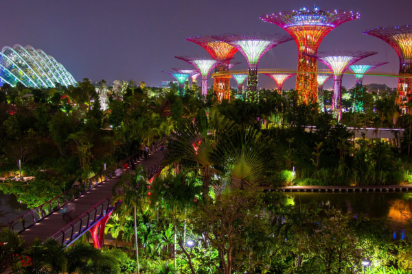 Singapore Tour Packages (1)